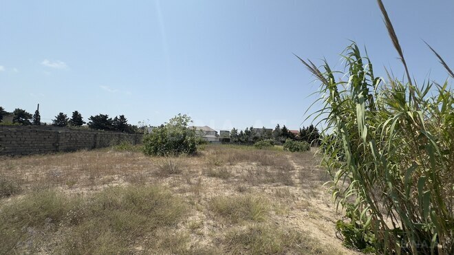 Продается  участок 19 сот, пос. Нардаран, photo 3 from 5
