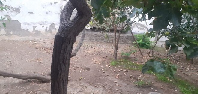 Satılır 4 otaqlı həyət evi/bağ evi 100 m², Biləcəri q., photo 5 from 24