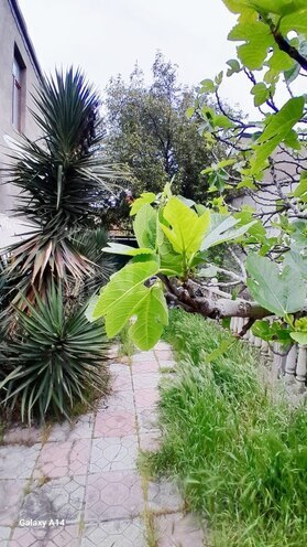 Satılır 4 otaqlı həyət evi/bağ evi 100 m², Biləcəri q., photo 12 from 24