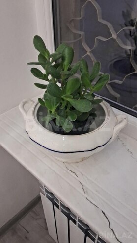Продаётся 1-комн. вторичка 30 м², м. Сахил, photo 14 from 27