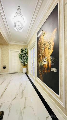 Продаётся 4-комн. новостройка 164 м², м. Нариман Нариманов, photo 3 from 24