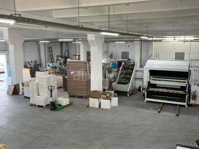 Satılır  obyekt 2 500 m², photo 17 from 32