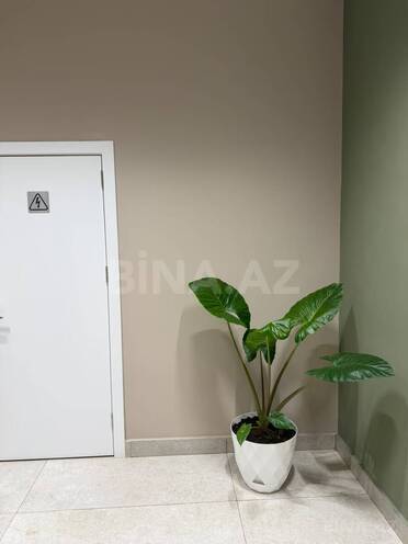 İcarəyə verilir 4 otaqlı yeni tikili 150 m², 28 May m., photo 22 from 30