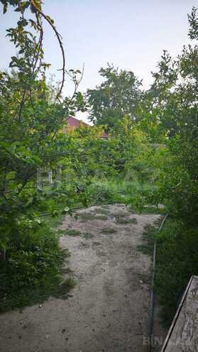 İcarəyə verilir 2 otaqlı həyət evi/bağ evi 60 m², Mərdəkan q., photo 4 from 7
