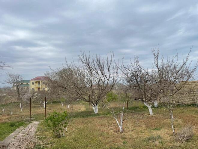 Satılır  torpaq 5 sot, Saray q., photo 3 from 4