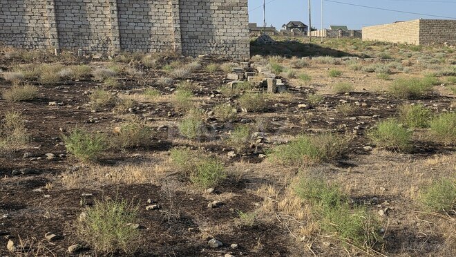 Satılır  torpaq 10 sot, Türkan q., photo 5 from 8