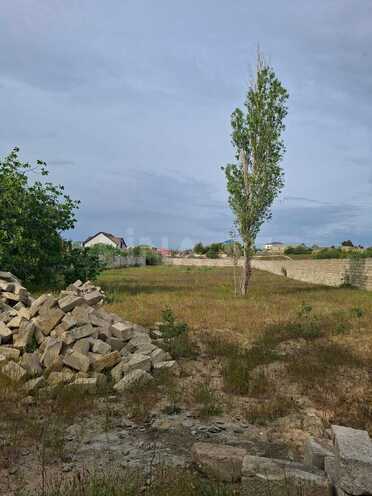 Satılır  torpaq 12.5 sot, Nardaran q., photo 4 from 6