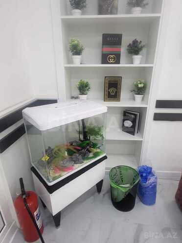 İcarəyə verilir  obyekt 120 m², 28 May m., photo 13 from 15