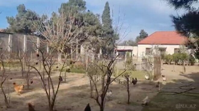 Satılır  torpaq 21 sot, Mərdəkan q., photo 5 from 6