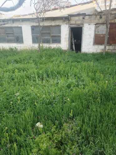 Продаётся  участок 11 сот, пос. Биладжары, photo 3 from 7