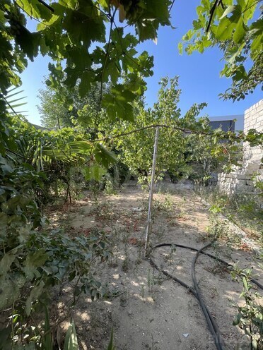 Satılır  torpaq 22 sot, Şüvəlan q., photo 10 from 15