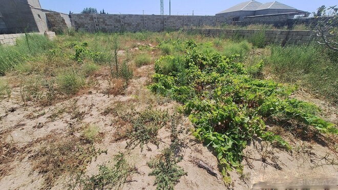 Satılır  torpaq 5 sot, Nardaran q., photo 4 from 10