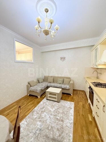 Satılır 2 otaqlı yeni tikili 45 m², photo 3 from 15