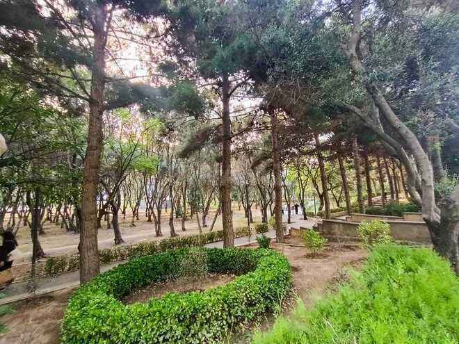 Satılır 3 otaqlı yeni tikili 99 m², Nəsimi m., photo 15 from 16