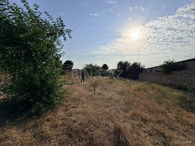 Satılır  torpaq 35 sot, Albalılıq q., photo 1 from 4