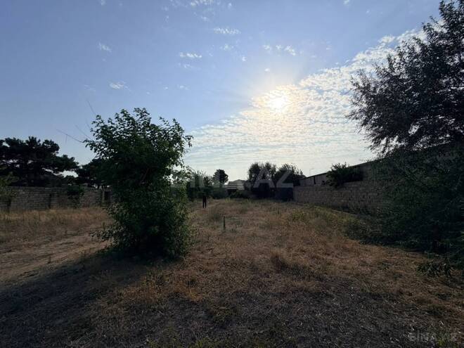 Satılır  torpaq 35 sot, Albalılıq q., photo 3 from 4