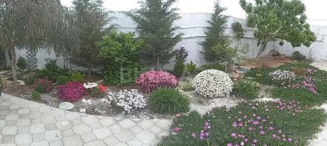 Satılır 6 otaqlı həyət evi/bağ evi 200 m², Albalılıq q., photo 25 from 26