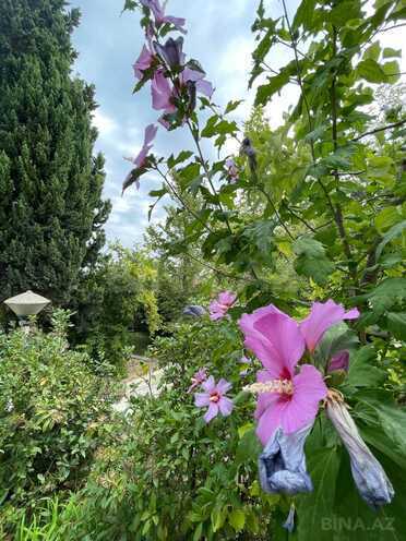 Satılır 9 otaqlı həyət evi/bağ evi 390 m², Novxanı q., photo 8 from 27