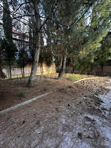 Satılır 9 otaqlı həyət evi/bağ evi 450 m², Nəsimi m., photo 29 from 32