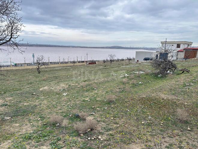 Satılır  torpaq 66 sot, Saray q., photo 1 from 8