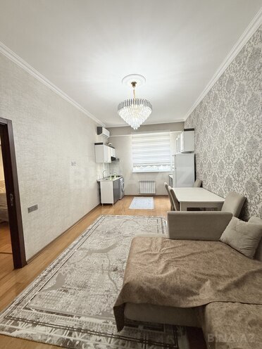 Satılır 2 otaqlı yeni tikili 42 m², photo 3 from 15