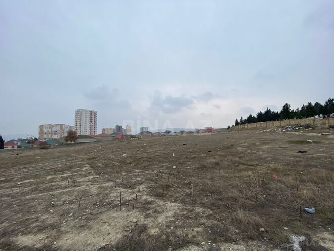 Satılır  torpaq 165 sot, Abşeron r., photo 4 from 11