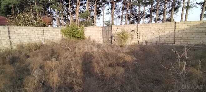 Продаётся  участок 8 сот, пос. Горадил, photo 4 from 11