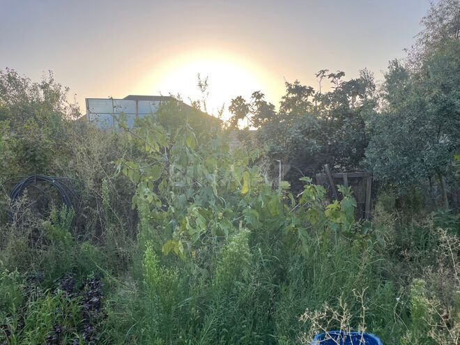 Satılır 7 otaqlı həyət evi/bağ evi 160 m², Kürdəxanı q., photo 7 from 32