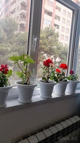 Satılır 2 otaqlı köhnə tikili 55 m², Nəriman Nərimanov m., photo 12 from 20