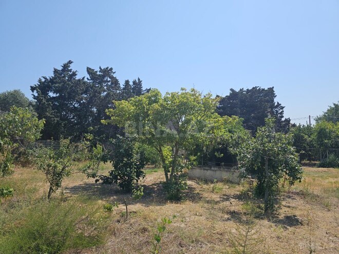 Продаётся  участок 31 сот, пос. Sea Breeze, photo 6 from 14