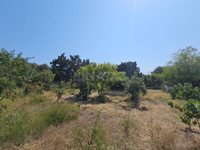 Продаётся  участок 31 сот, пос. Sea Breeze, photo 7 from 14
