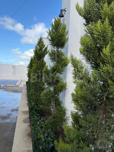 Продаётся 5-комн. дом/дача 160 м², пос. Пиршаги, photo 24 from 25