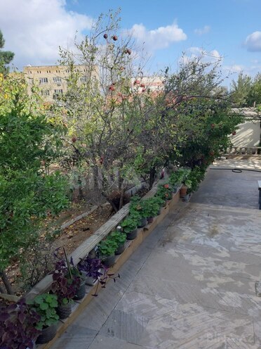Satılır 5 otaqlı həyət evi/bağ evi 100 m², Zığ q., photo 26 from 31