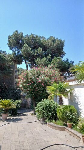 Satılır 6 otaqlı həyət evi/bağ evi 400 m², Xətai r., photo 5 from 30