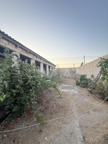 Satılır  torpaq 4 sot, Buzovna q., photo 3 from 13