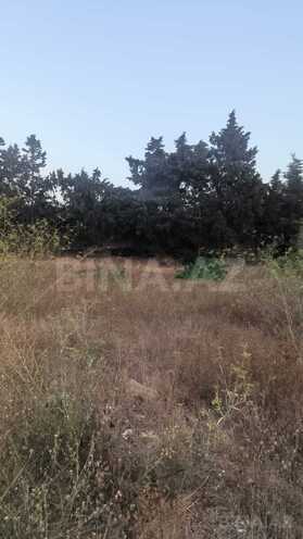 Продаётся  участок 35 сот, пос. Мардакан, photo 3 from 8