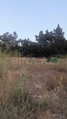 Продаётся  участок 35 сот, пос. Мардакан, photo 4 from 8