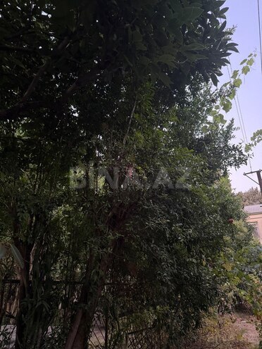 Satılır 5 otaqlı köhnə tikili 120 m², Xalqlar Dostluğu m., photo 28 from 31