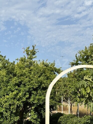 Satılır 5 otaqlı həyət evi/bağ evi 275 m², Albalılıq q., photo 21 from 32