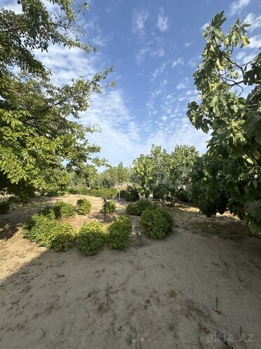 Satılır 5 otaqlı həyət evi/bağ evi 275 m², Albalılıq q., photo 9 from 32