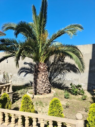 Satılır 7 otaqlı həyət evi/bağ evi 390 m², Binəqədi r., photo 25 from 29