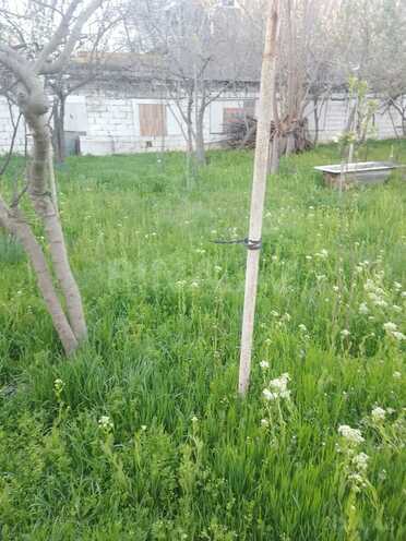 Satılır  torpaq 10 sot, photo 5 from 8