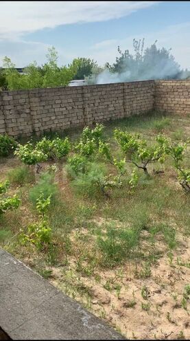 Продаётся  участок 11 сот, пос. Пиршаги, photo 5 from 28