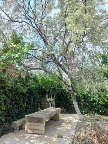 Satılır 3 otaqlı həyət evi/bağ evi 75 m², Novxanı q., photo 5 from 20