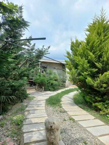 Satılır 3 otaqlı həyət evi/bağ evi 75 m², Novxanı q., photo 6 from 20