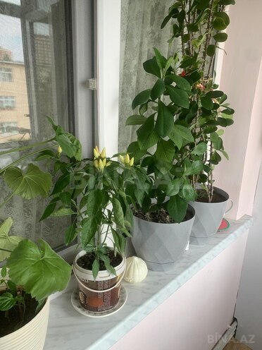 Продаётся 4-комн. вторичка 65 м², м. Мемар Аджеми, photo 14 from 27
