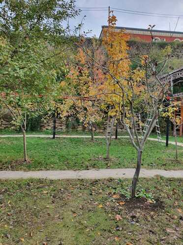 Продаётся 2-комн. дом/дача 84.3 м², м. Насими, photo 25 from 32