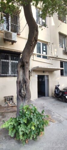 Satılır 2 otaqlı köhnə tikili 38 m², Memar Əcəmi m., photo 17 from 18