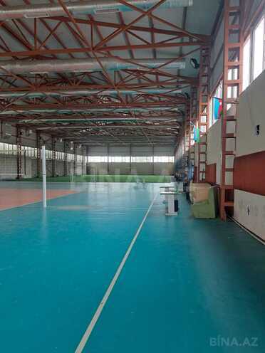 İcarəyə verilir  obyekt 2 500 m², Novxanı q., photo 1 from 5