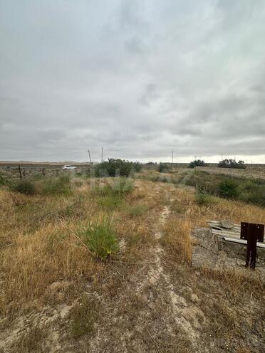Продается  участок 28 сот, пос. Нардаран, photo 4 from 8